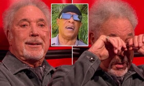 Sir Tom Jones and stevie wonders